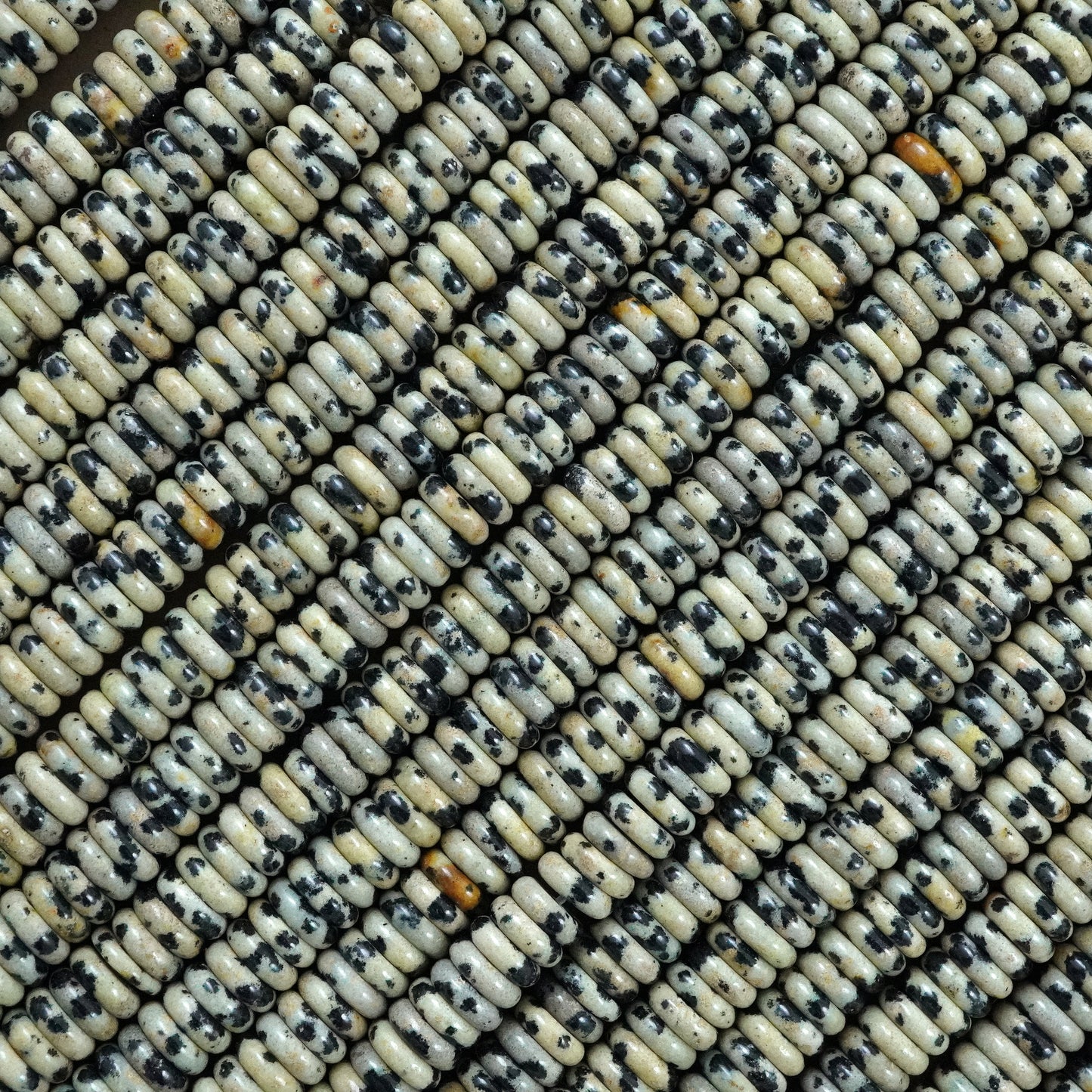 Dalmation Jasper (Rondelle)(Smooth)(6mmx2mm)(15.5"Strand)