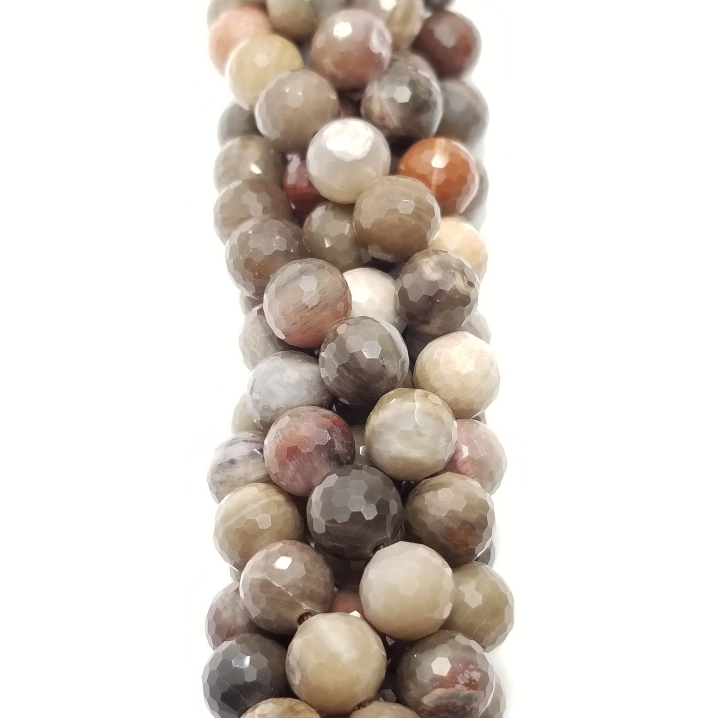 Petrified Wood (Round)(Faceted)(16"Strand)