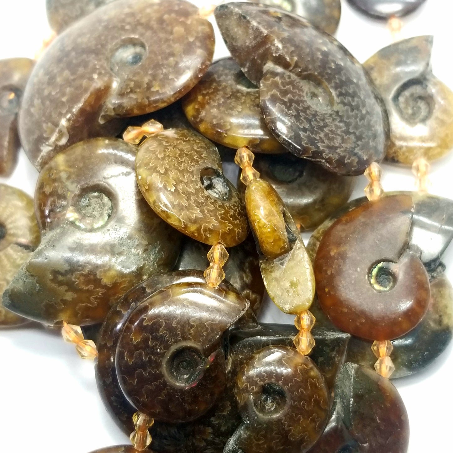 Ammonite Fossil Beads (Free Form)(15"Strand)