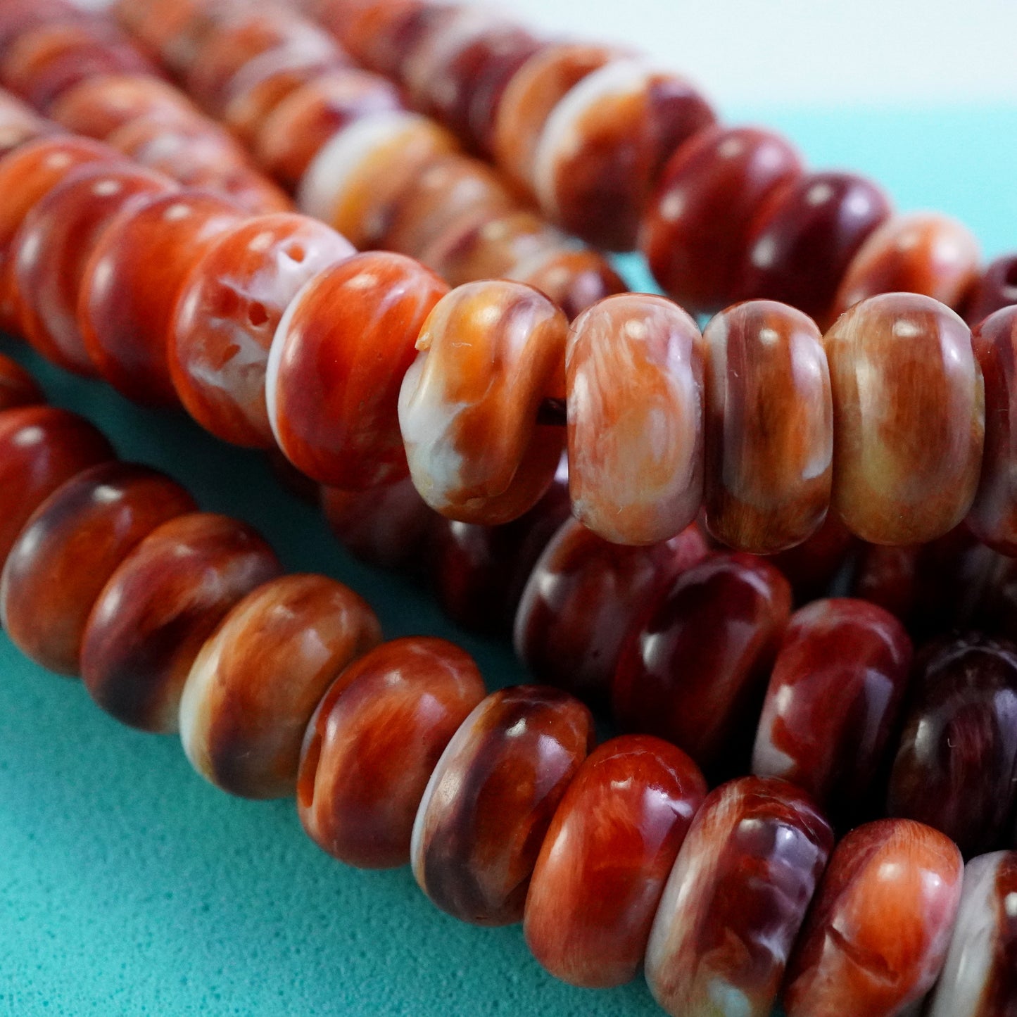 Spiny Oyster (Rondelle)(Smooth)(8x4mm)(16"Strand)