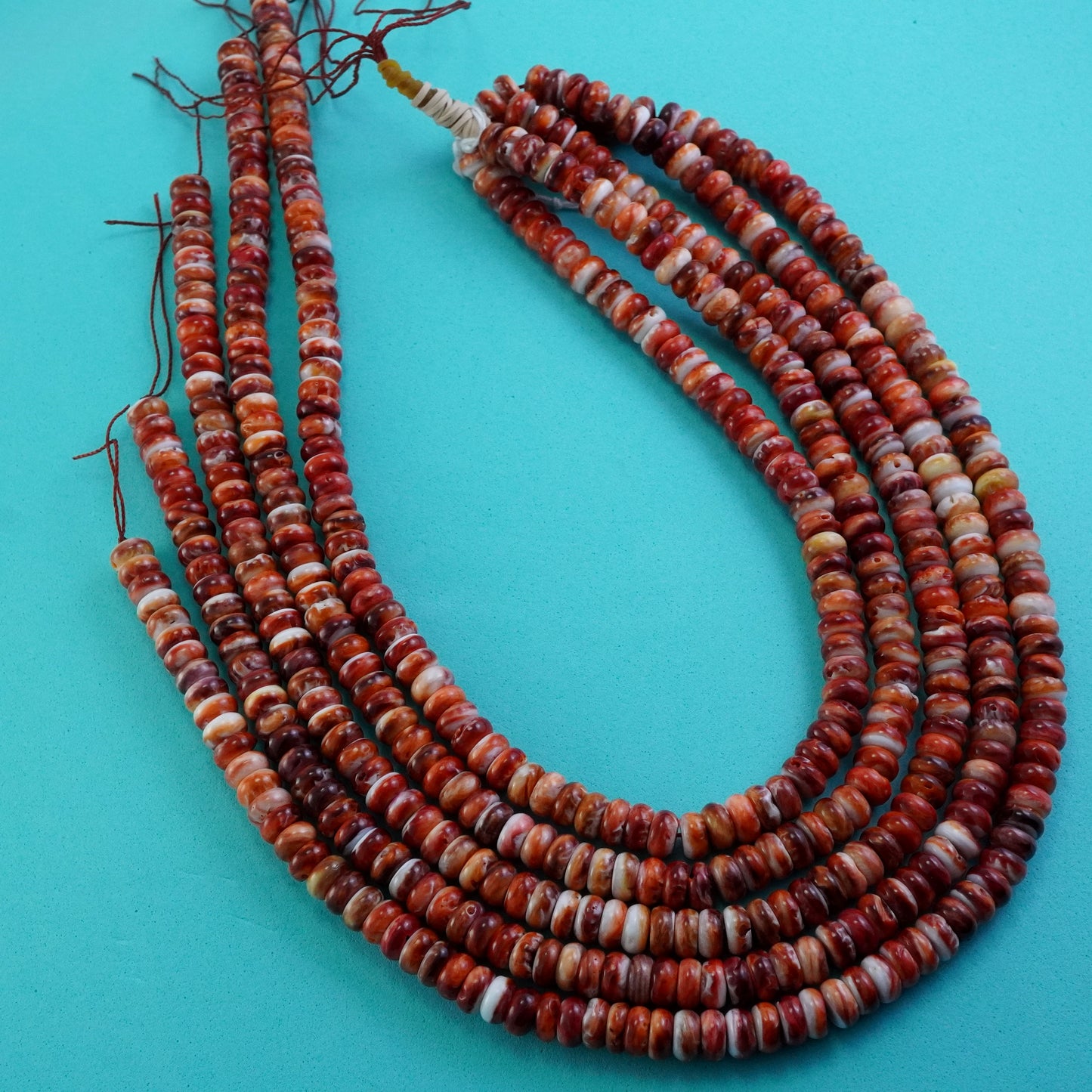 Spiny Oyster (Rondelle)(Smooth)(8x4mm)(16"Strand)