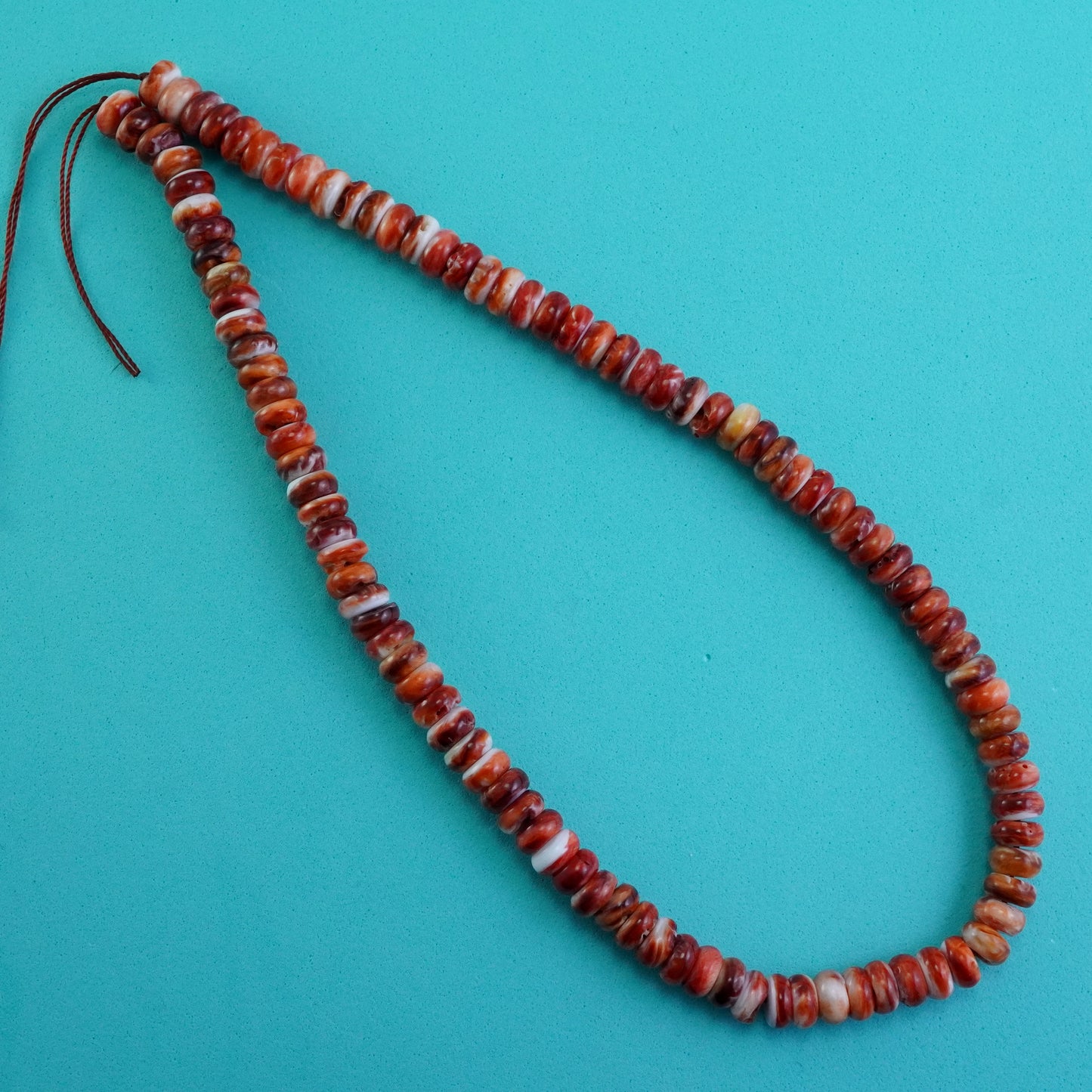 Spiny Oyster (Rondelle)(Smooth)(8x4mm)(16"Strand)
