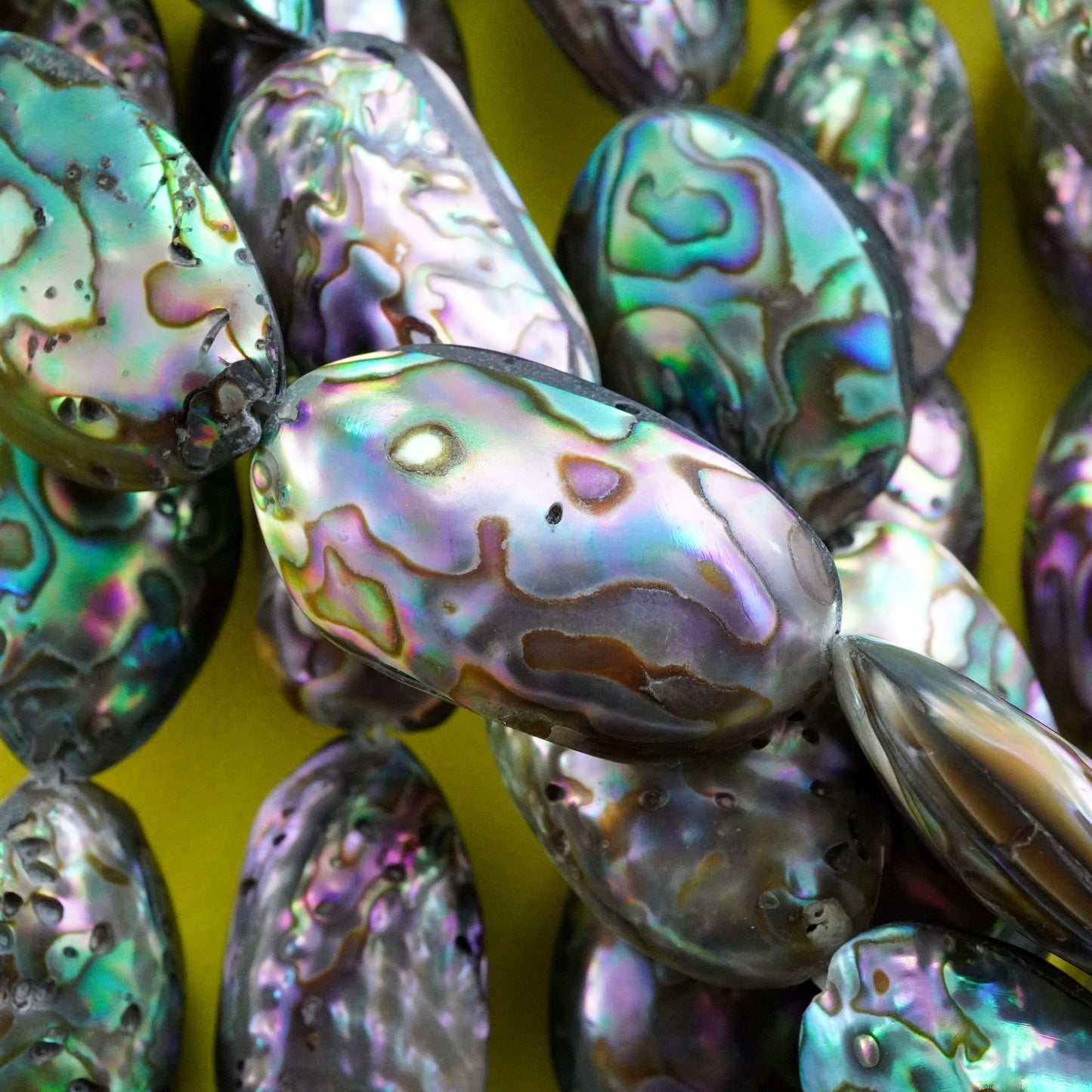 Abalone (Free Form)(16"Strand)