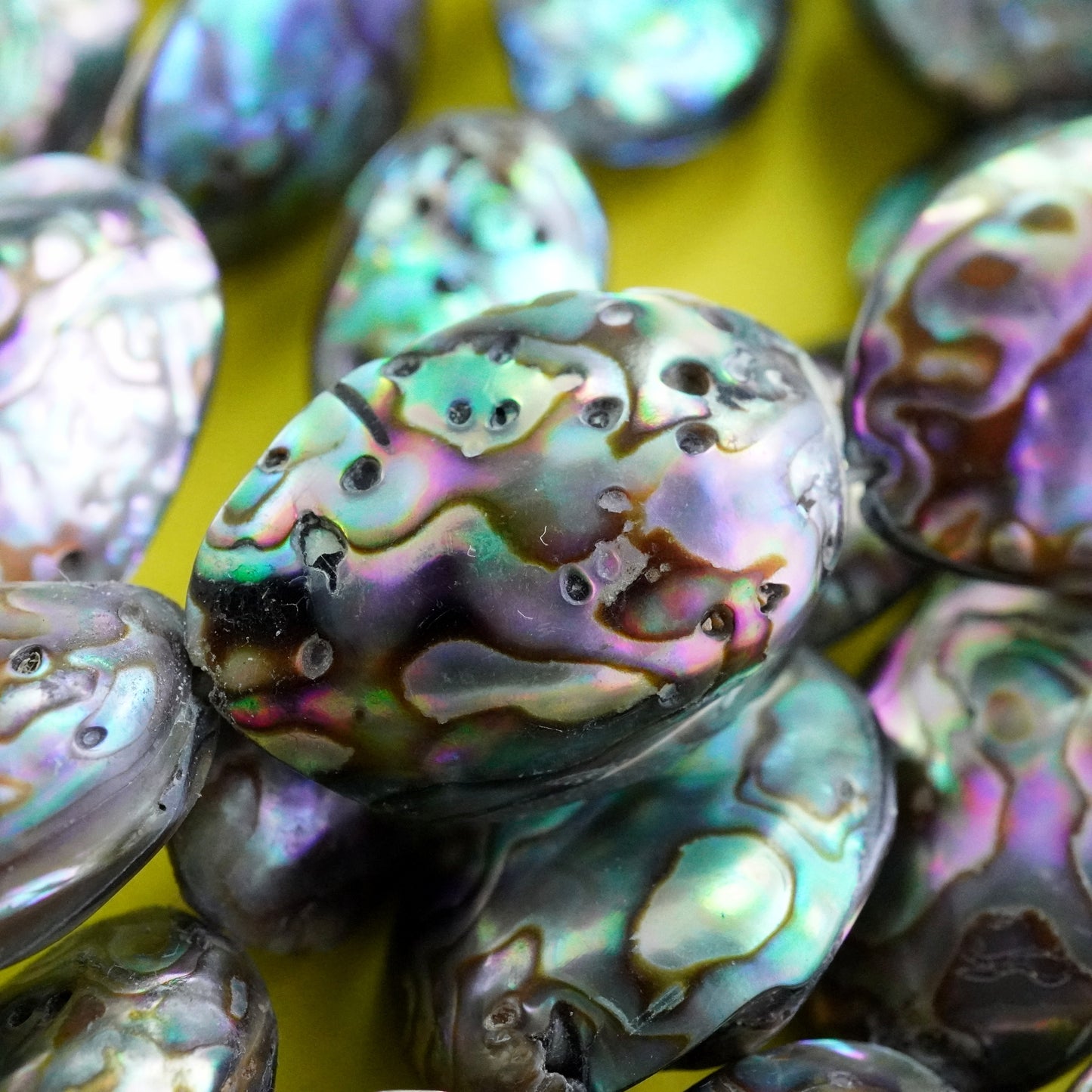 Abalone (Free Form)(16"Strand)