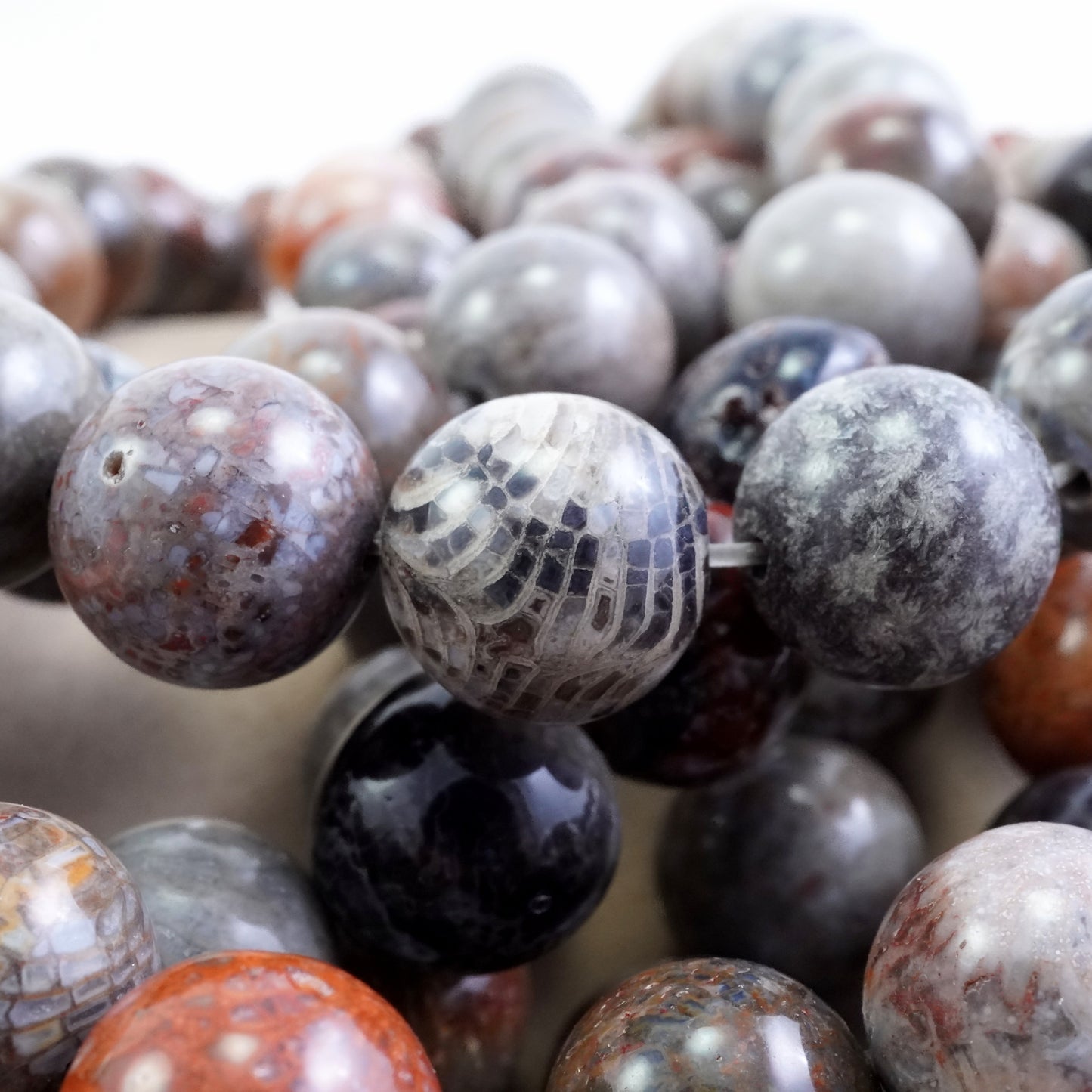 Fossil Coral (Mix Color)(Round)(Smooth)(4mm)(6mm)(8mm)(10mm)(16"Strand)