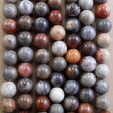Fossil Coral (Mix Color)(Round)(Smooth)(4mm)(6mm)(8mm)(10mm)(16"Strand)