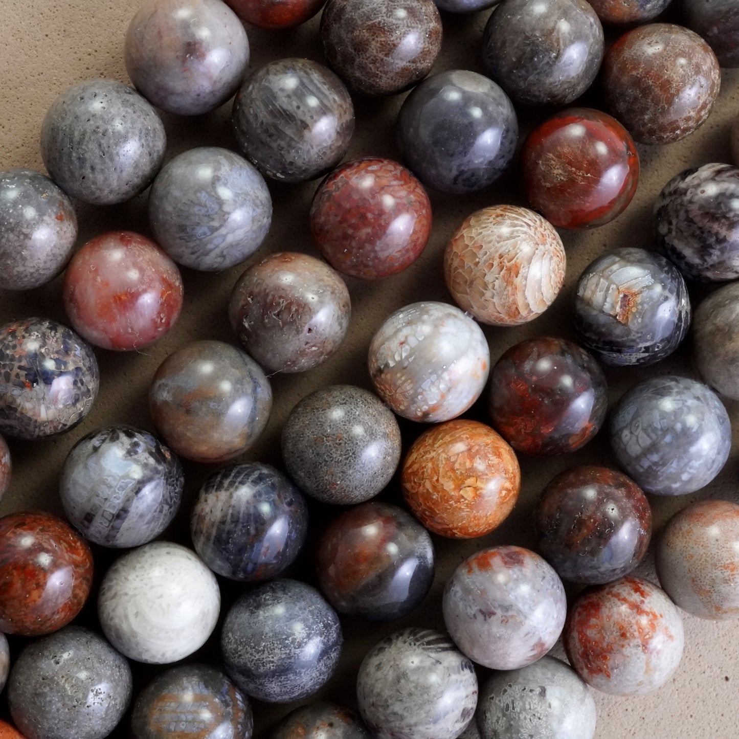 Fossil Coral (Mix Color)(Round)(Smooth)(4mm)(6mm)(8mm)(10mm)(16"Strand)