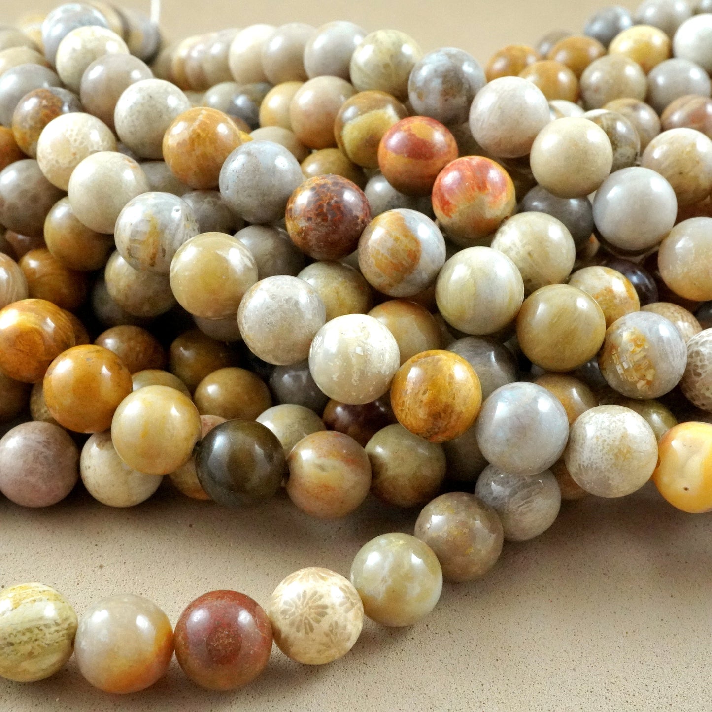Fossil Coral (Round)(Smooth)(6mm)(8mm)(10mm)(12mm)(16"Strand)