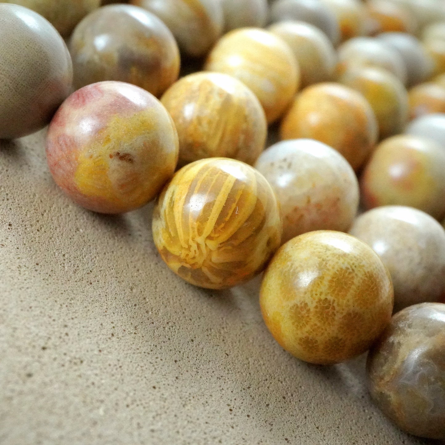 Fossil Coral (Round)(Smooth)(6mm)(8mm)(10mm)(12mm)(16"Strand)