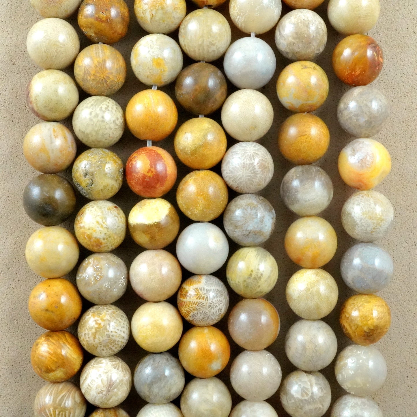 Fossil Coral (Round)(Smooth)(6mm)(8mm)(10mm)(12mm)(16"Strand)