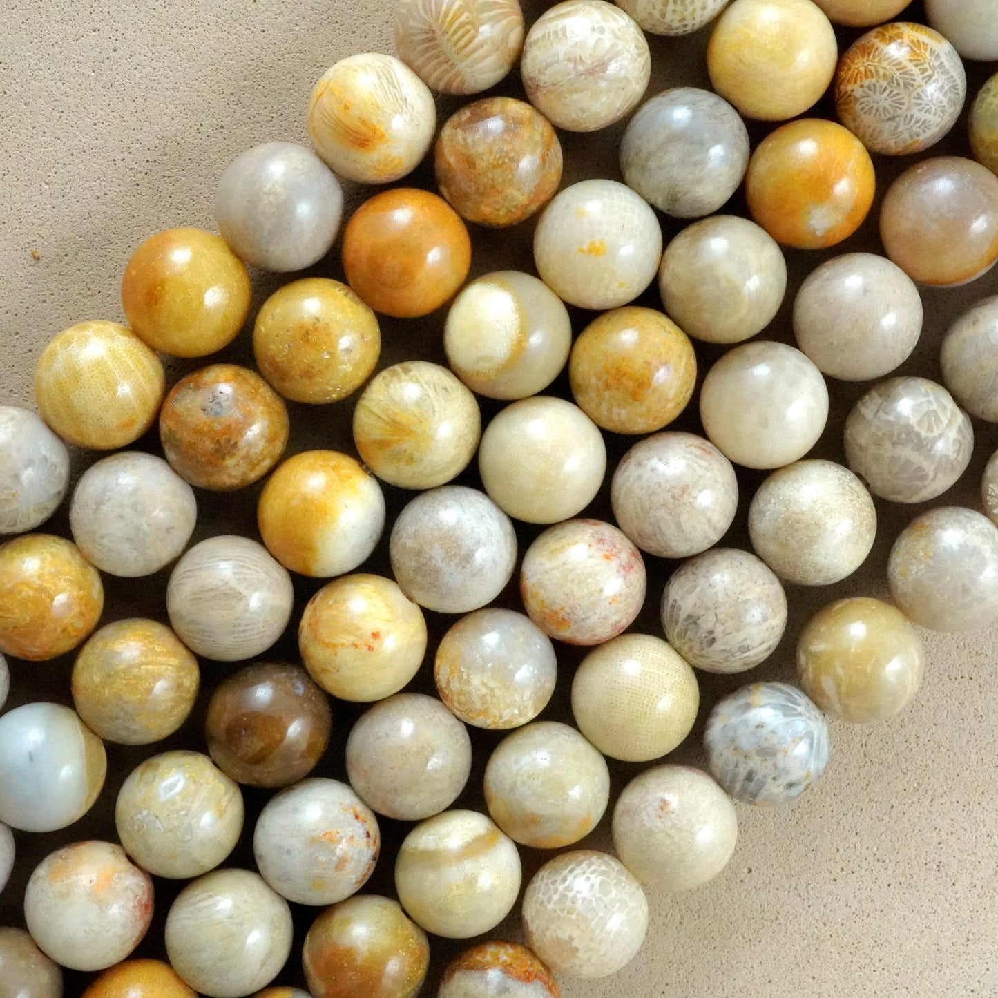 Fossil Coral (Round)(Smooth)(6mm)(8mm)(10mm)(12mm)(16"Strand)