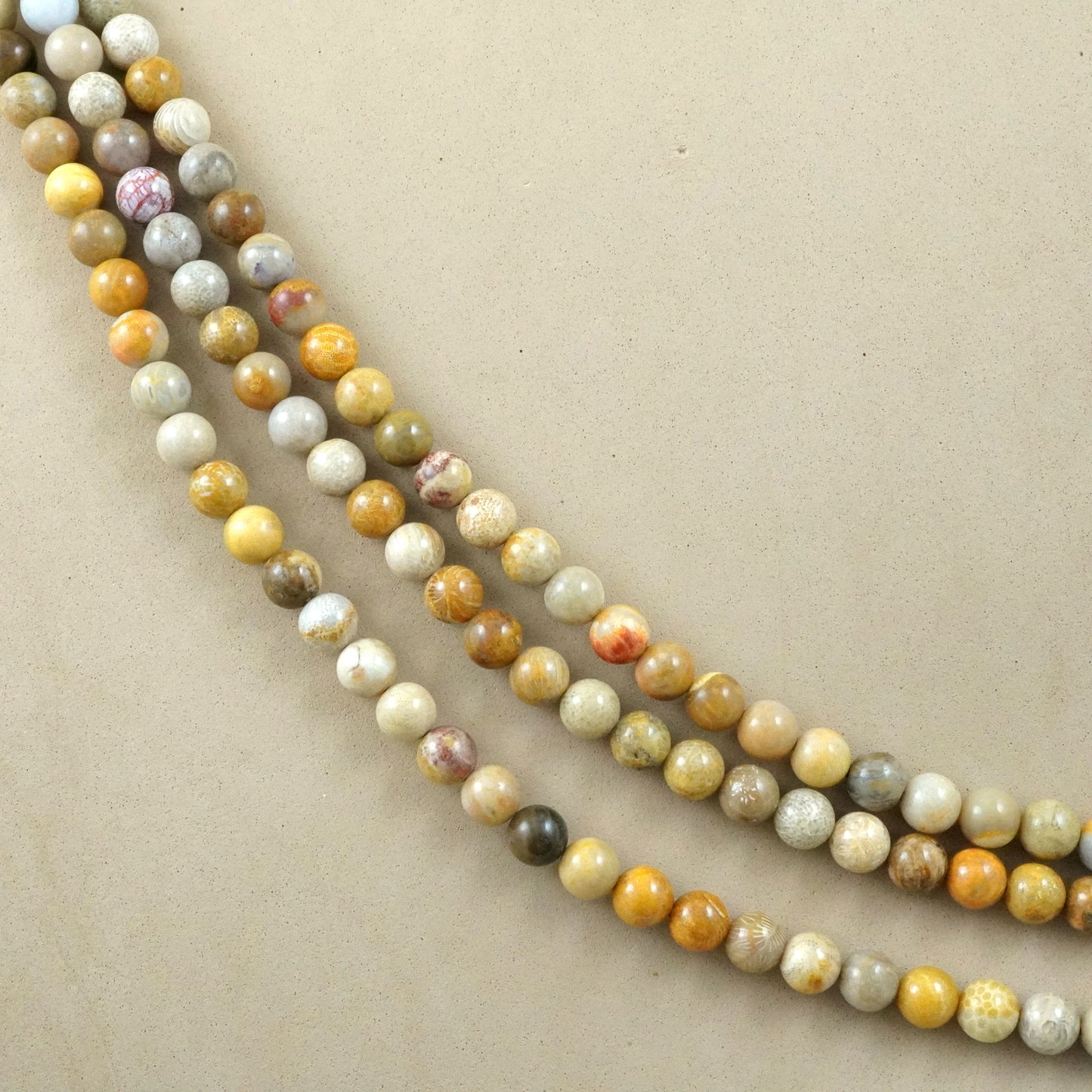 Fossil Coral (Round)(Smooth)(6mm)(8mm)(10mm)(12mm)(16"Strand)