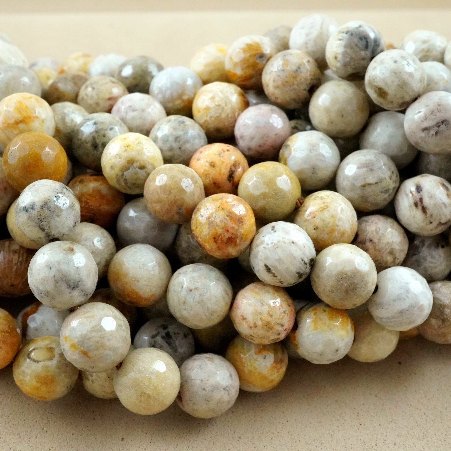 Fossil Coral (Round)(Faceted)(6mm)(8mm)(10mm)(16"Strand)