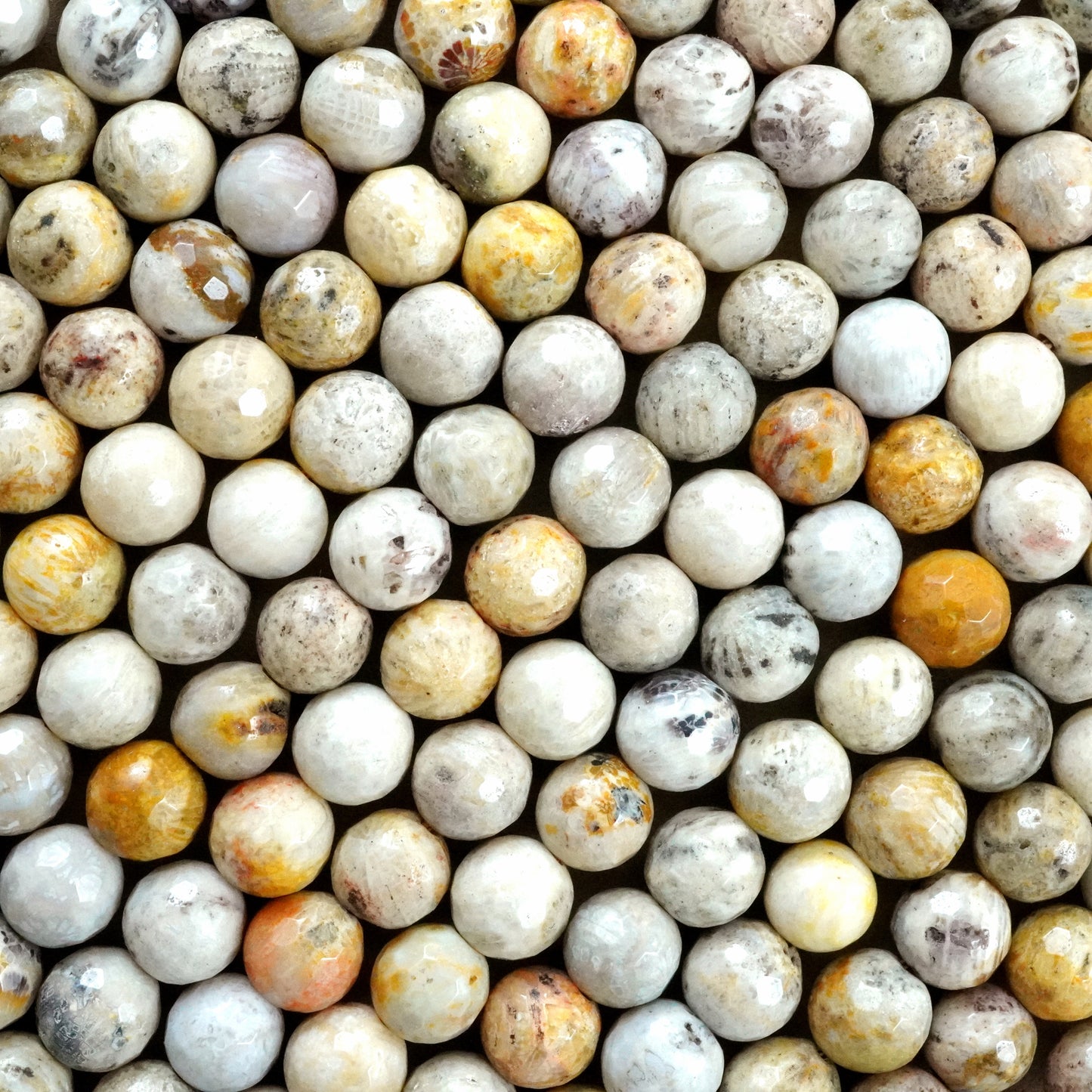 Fossil Coral (Round)(Faceted)(6mm)(8mm)(10mm)(16"Strand)