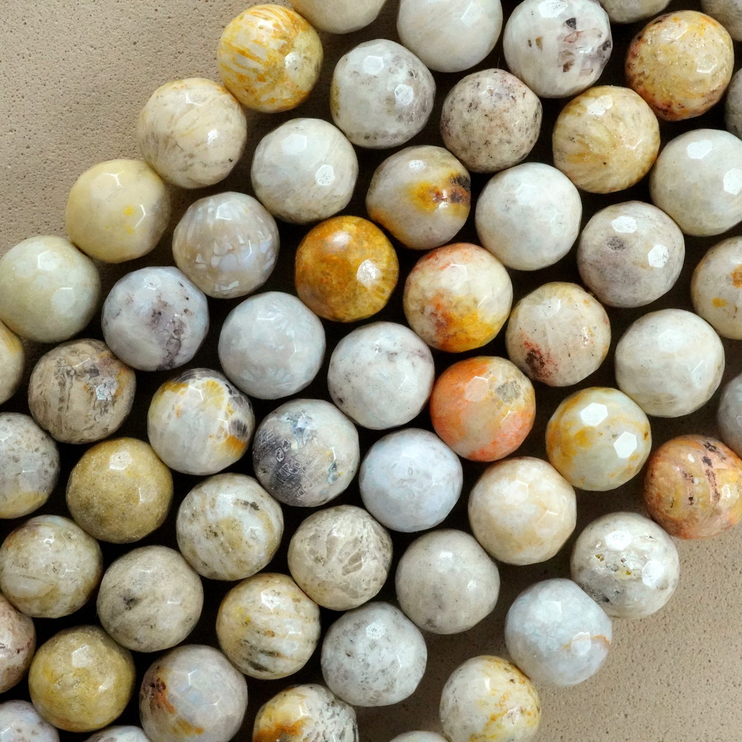 Fossil Coral (Round)(Faceted)(6mm)(8mm)(10mm)(16"Strand)