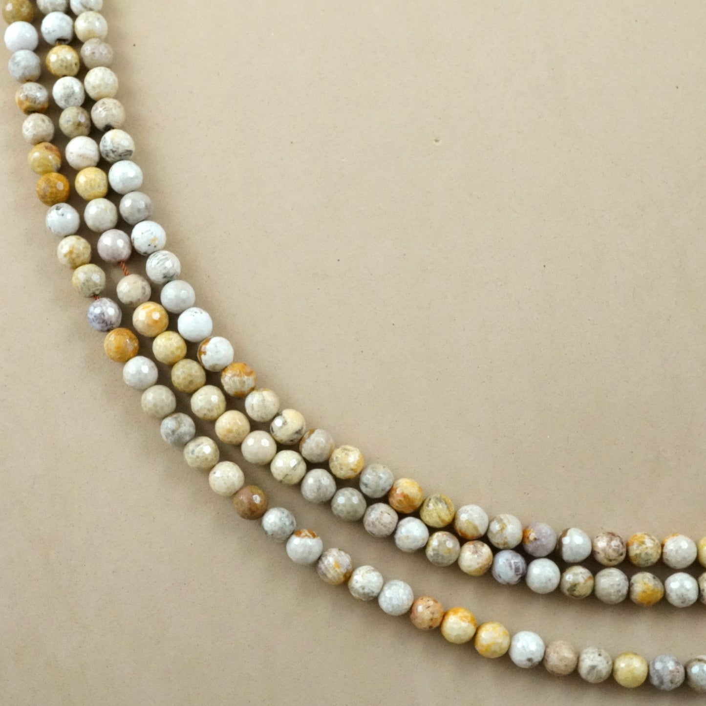 Fossil Coral (Round)(Faceted)(6mm)(8mm)(10mm)(16"Strand)