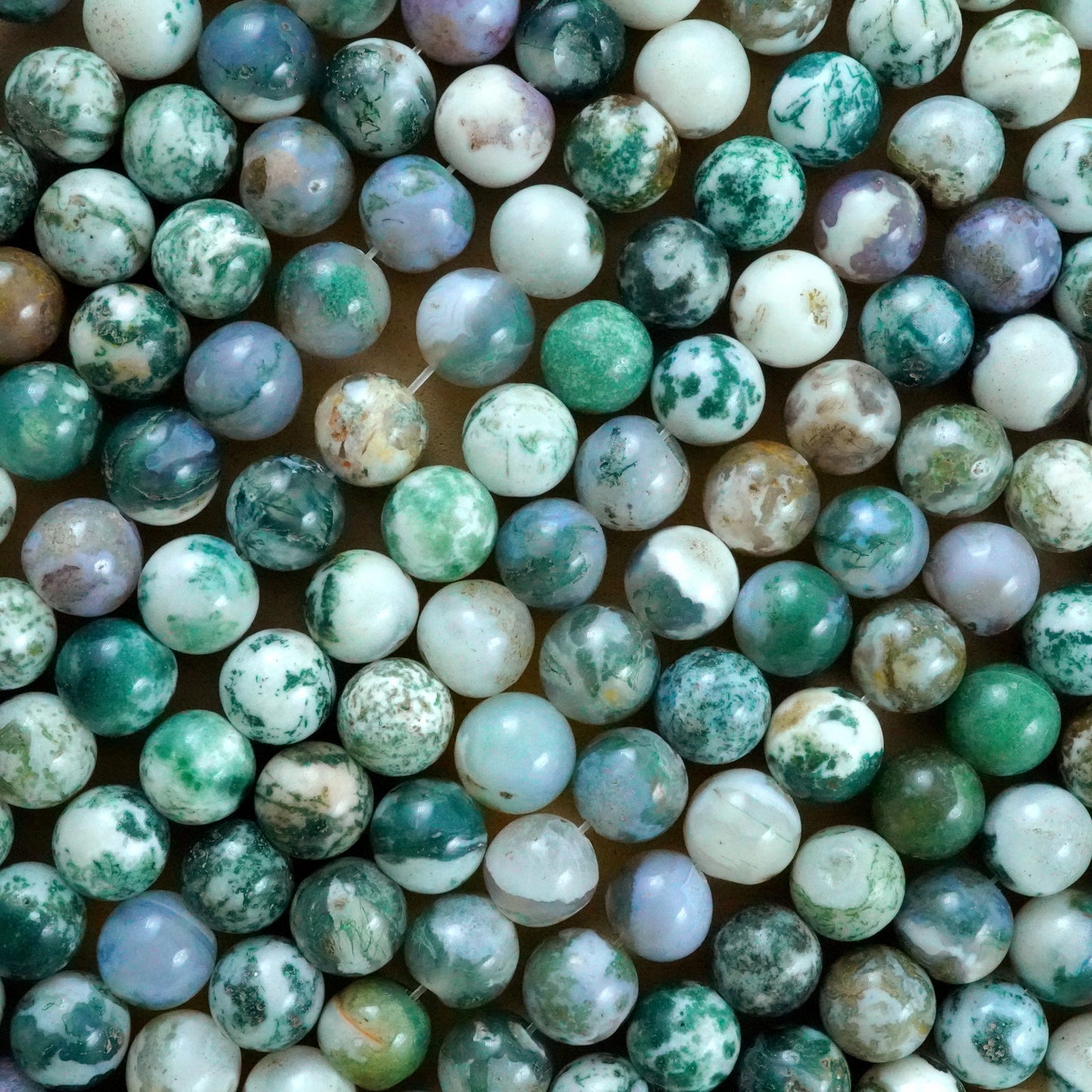 Tree Agate (Round)(Smooth)(4mm)(6mm)(8mm)(10mm)(12mm)(16"Strand)
