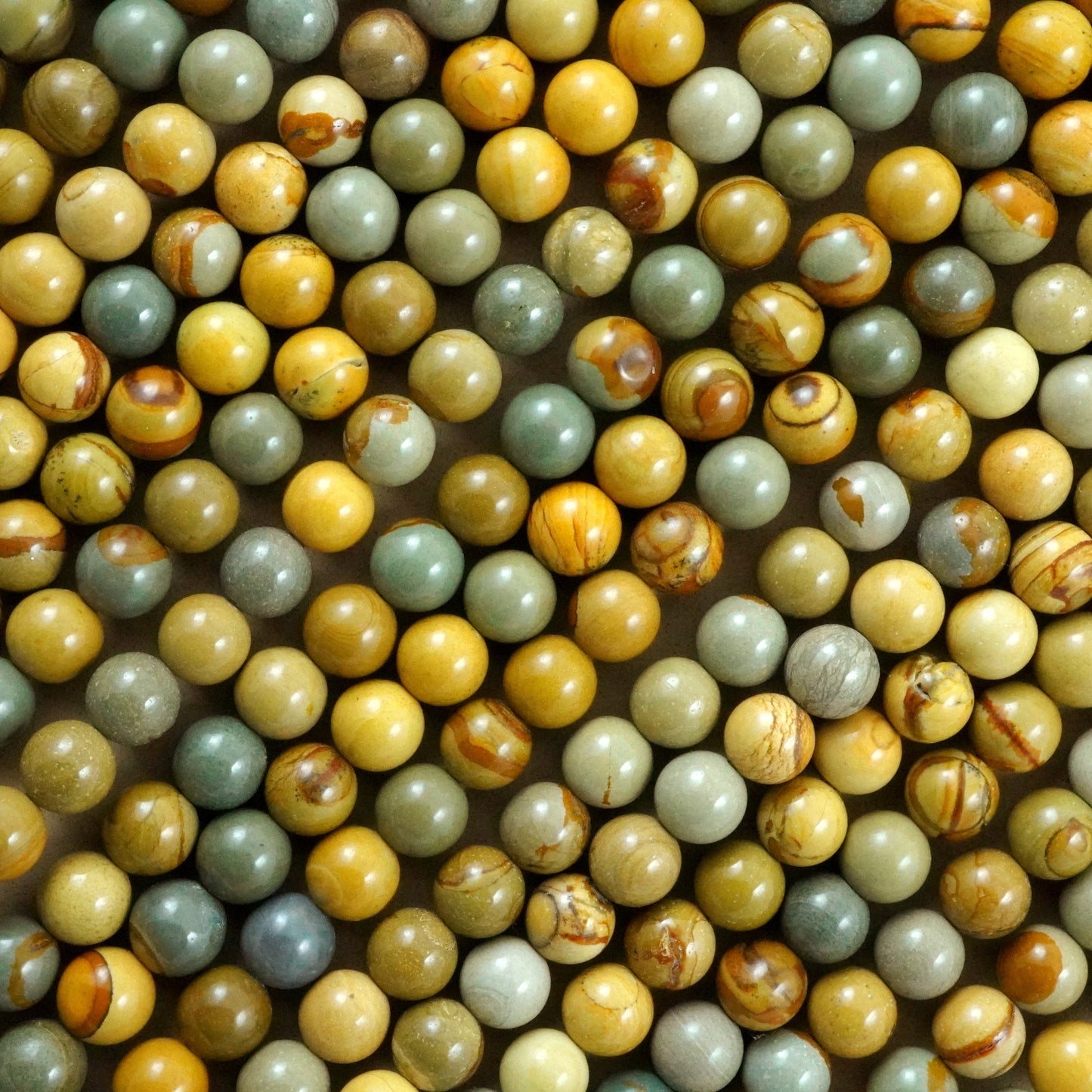 Wild Horse Jasper (Round)(Smooth)(6mm)(8mm)(10mm)(16"Strand)