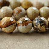 Picture Jasper (Round)(Faceted)(4mm)(6mm)(8mm)(10mm)(12mm)(16"Strand)