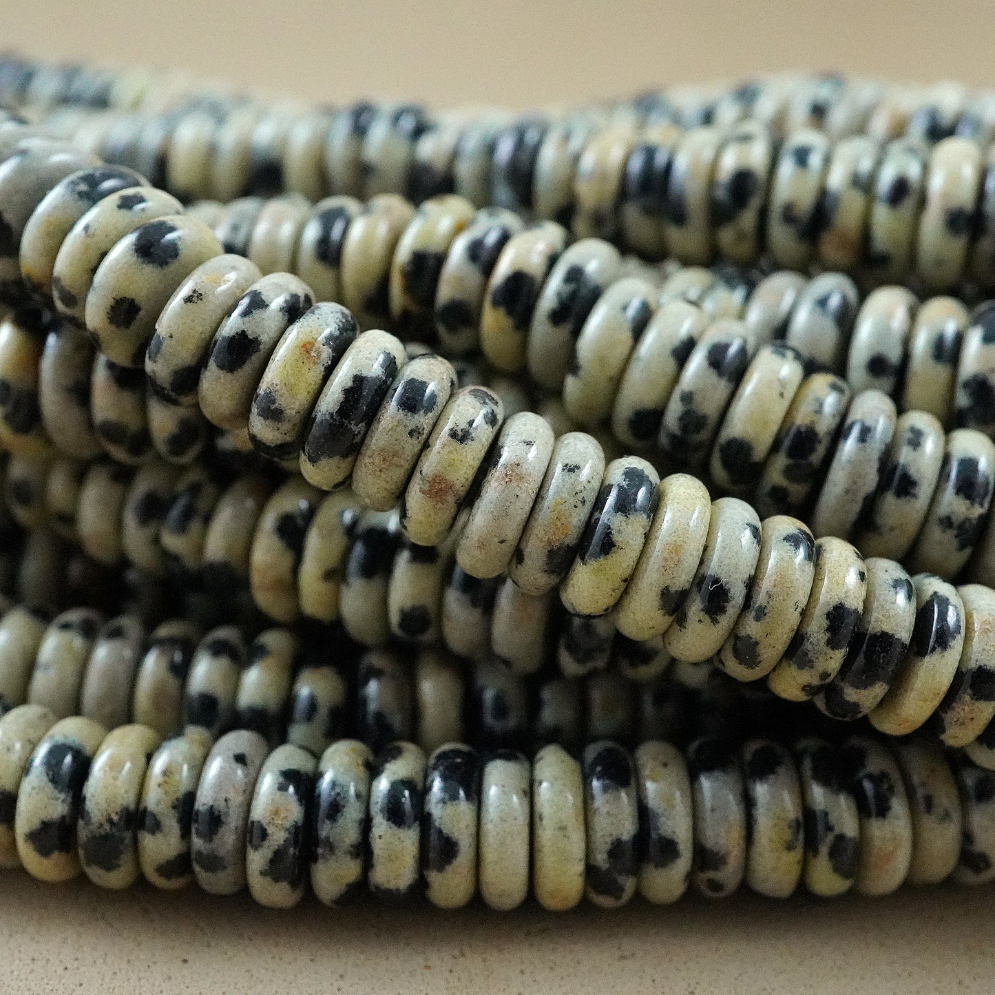 Dalmation Jasper (Rondelle)(Smooth)(6mmx2mm)(15.5"Strand)