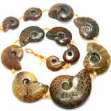 Ammonite Fossil Beads (Free Form)(15"Strand)