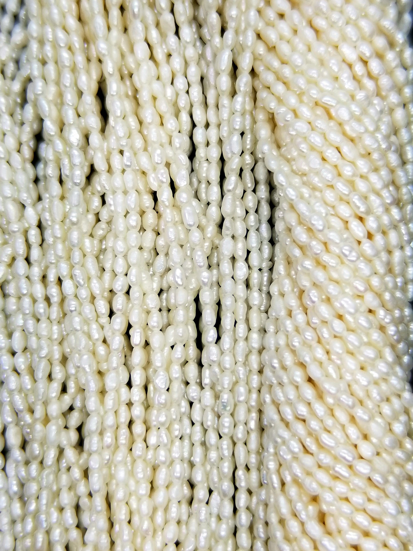 Rice Pearls (Fresh Water)(White)(3x2mm)(15.50"Strand)