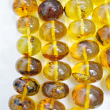 XL Amber Beads (Rondelle)(25mm-15mm)(Graduated)(Smooth)(23"Strand)(Limited Supply)