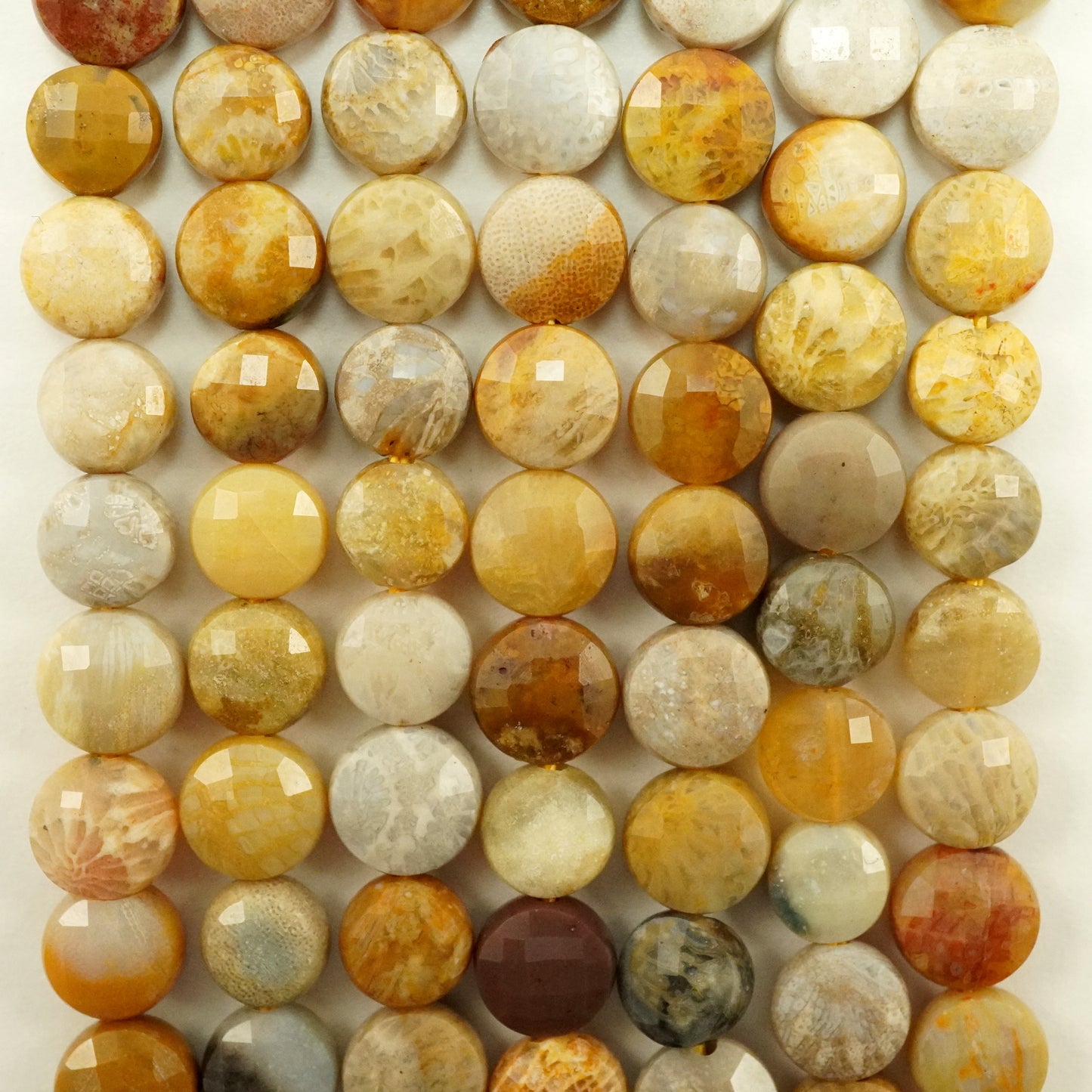 Fossil Coral (Coin)(Micro)(Faceted)(6×4mm)(15"Strand)