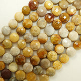 Fossil Coral (Coin)(Micro)(Faceted)(6×4mm)(15"Strand)