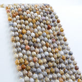 Fossil Coral (Barrel)(Faceted)(8x7mm)(16"Strand)