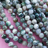 Tree Agate (Round)(Faceted)(6mm)(8mm)(10mm)(16"Strand)