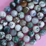 Tree Agate (Round)(Faceted)(6mm)(8mm)(10mm)(16"Strand)