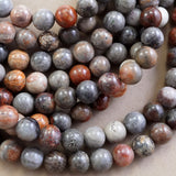 Fossil Coral (Mix Color)(Round)(Smooth)(4mm)(6mm)(8mm)(10mm)(16"Strand)