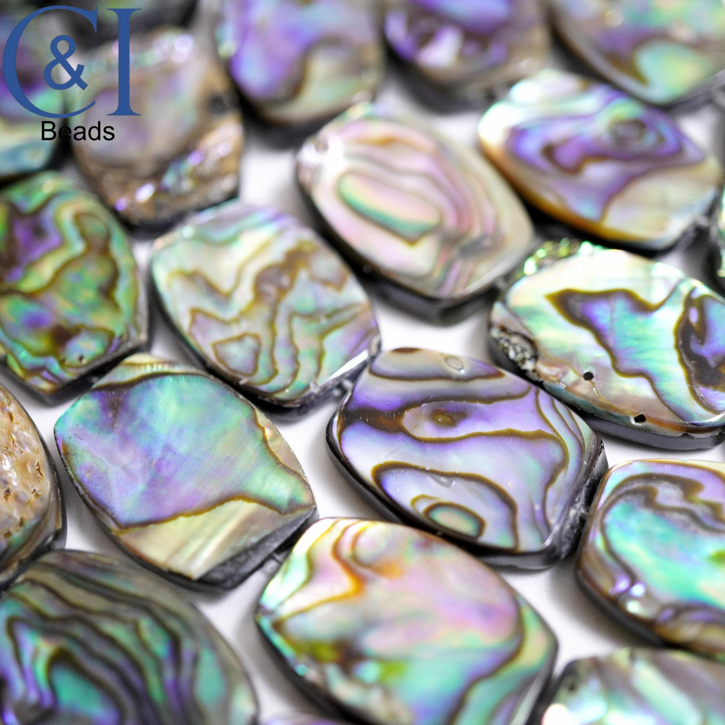 Abalone (Oval)(Flat)(12x18mm)(16"Strand)