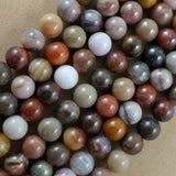 Petrified Wood (Round)(Smooth)(4mm)(6mm)(8mm)(10mm)(12mm)(16"Strand)