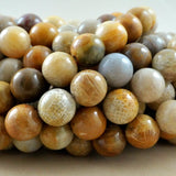 Fossil Coral (Round)(Smooth)(6mm)(8mm)(10mm)(12mm)(16"Strand)