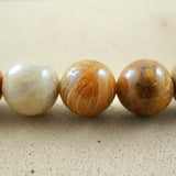 Fossil Coral (Round)(Smooth)(6mm)(8mm)(10mm)(12mm)(16"Strand)