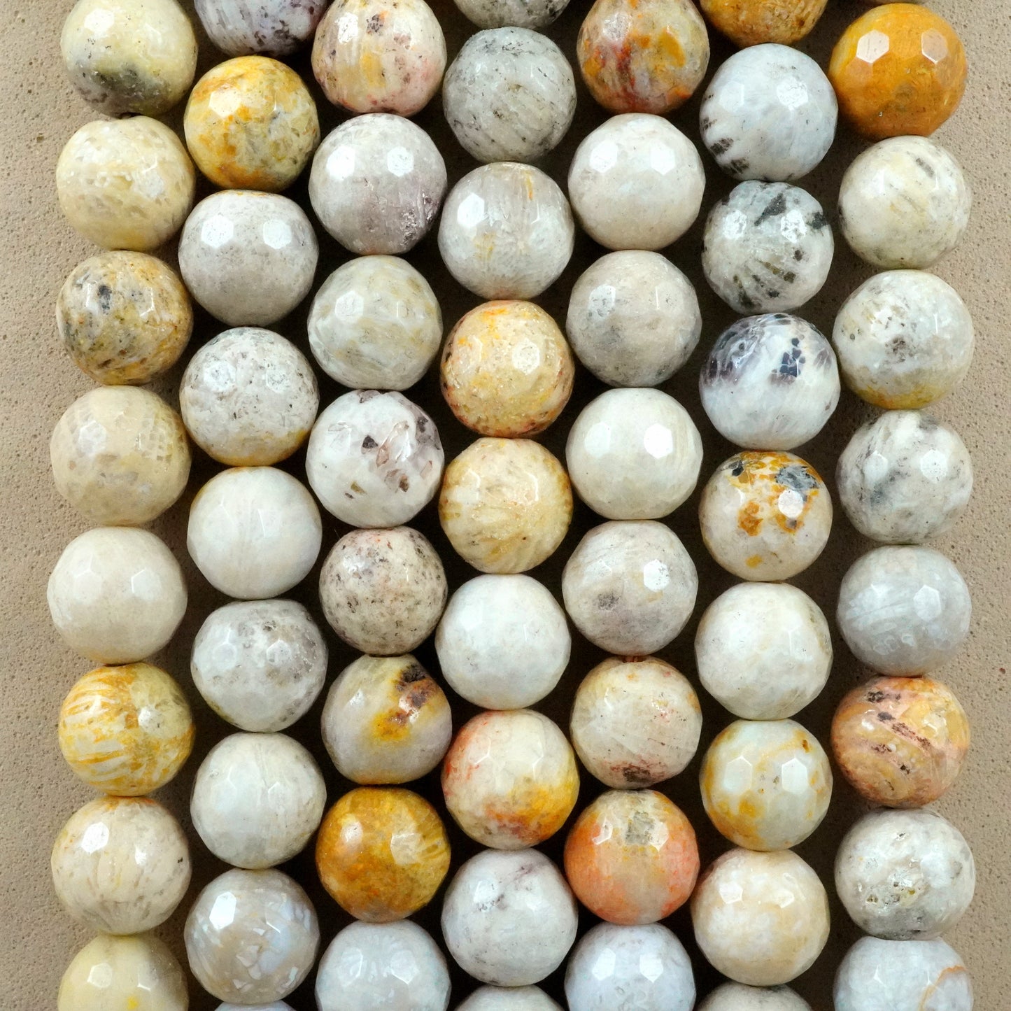 Fossil Coral (Round)(Faceted)(6mm)(8mm)(10mm)(16"Strand)