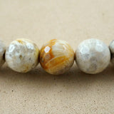 Fossil Coral (Round)(Faceted)(6mm)(8mm)(10mm)(16"Strand)